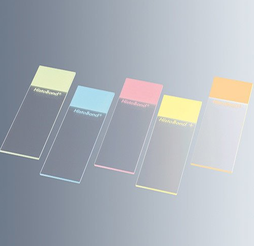 Adezivli ve Renkli Lamlar