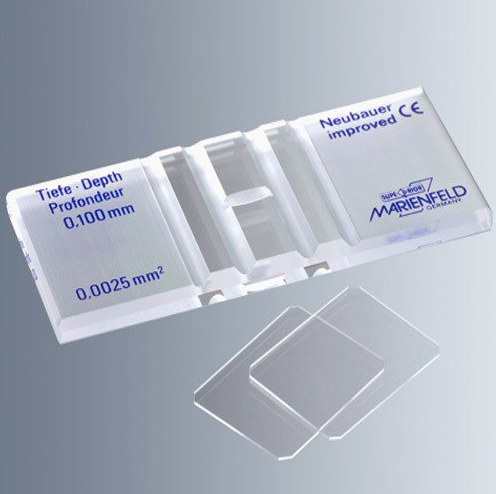 Bürker Sayım Lamları