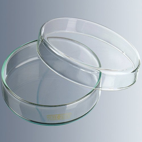 Petri Kutusu & Cam & 200x30 mm & 6 Adet/Paket-(1 Paket)