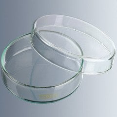 Petri Kutusu & Cam & 200x30 mm & 6 Adet/Paket-(1 Paket)