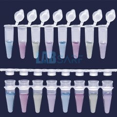 Pcr Tüpü 8 Şeritli & Monte Düz Kapaklı Şeffaf Şeritler - 12 Adet/Paket - (1 Paket)