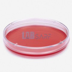 Petri Kutusu 52.0 mm & Hücre Kültürü İçin & Steril - 600 Adet/Kutu - (1 Kutu)