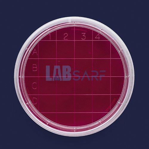 Petri Kutusu Rodak & Gama Steril - 500 Adet/Paket - (1 Paket)