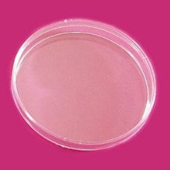 Petri Kutusu & Plastik PS & 100 mm & Gama Steril & 10 Adet/Paket-(1 Paket)