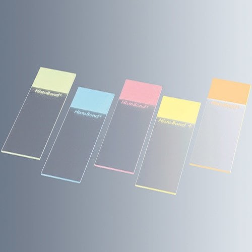 Lam Adezivli ve Renkli & HistoBond®+ & Beyaz -100 Adet/Paket-(1 Paket)