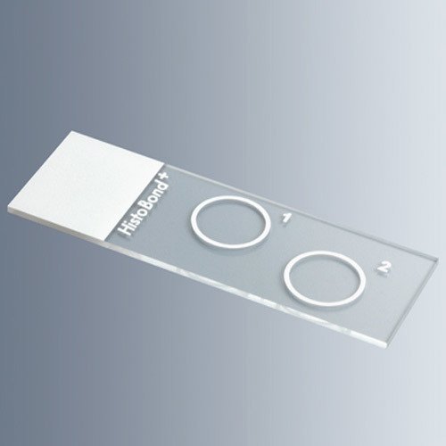 Lam & Histobond & Beyaz & 2 Halkalı & Halka Çapı 12 mm -100 Adet/Kutu-(1 Kutu)