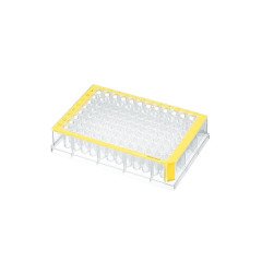 Deepwell Plate 96/500 µL & Temiz Kuyular & 500 µL & Steril & Sarı -40 Plaka (5 Poşet x 8 Plaka)-1 Paket