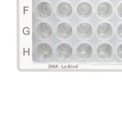 Deepwell Plate 384/200 µL DNA LoBind® & 200 µL & Temiz PCR & Beyaz -120 Plaka (10 Poşet x 12 Plaka)-1 Paket