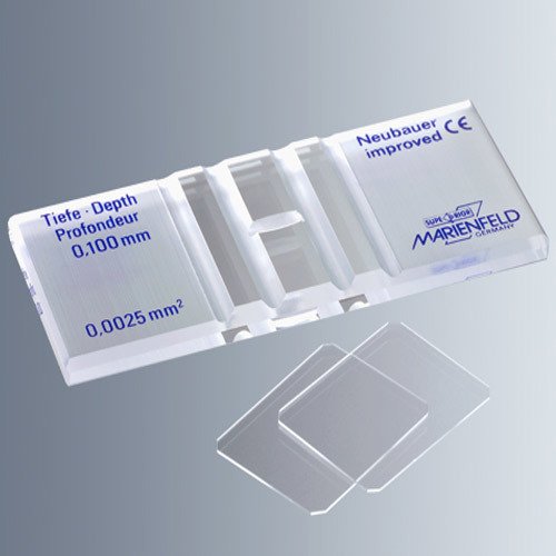 Sayım Lamı & Malassez & Klipssiz (CE) -1 Adet