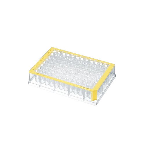 Deepwell Plate 96/500 µL Protein LoBind® & 500 µL & Temiz PCR & Sarı -40 Plaka (5 Poşet x 8 Plaka)-1 Paket