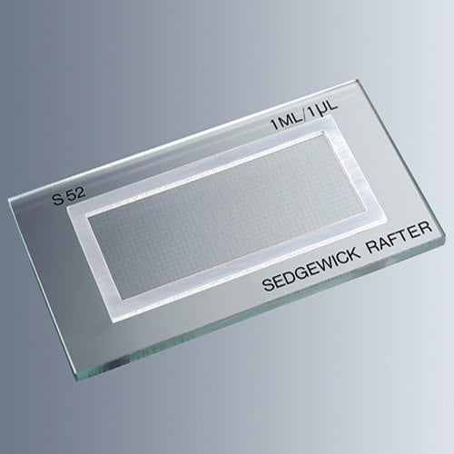 Sedgewick Rafter Lamı & Cam -1 Adet