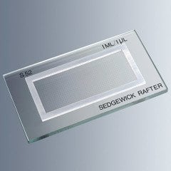 Sedgewick Rafter Lamı & Cam -1 Adet