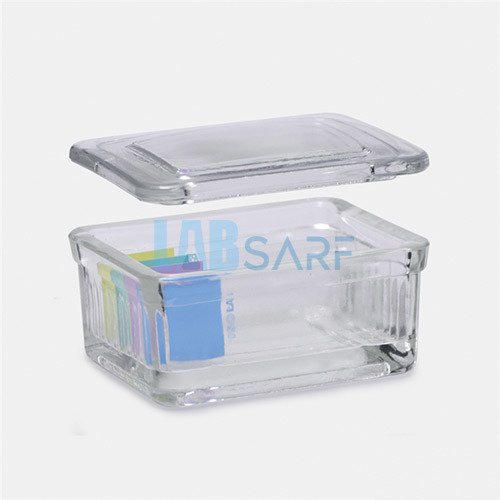 Şale Schiefferdecker - (1 Adet)