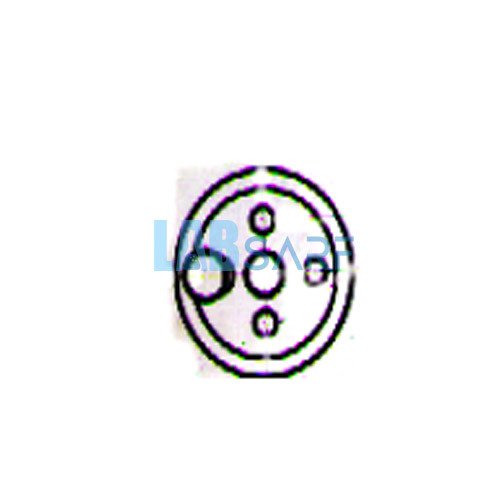 Balon Dibi Yuvarlak Beş Boyunlu 4000 Ml- (1 Adet)